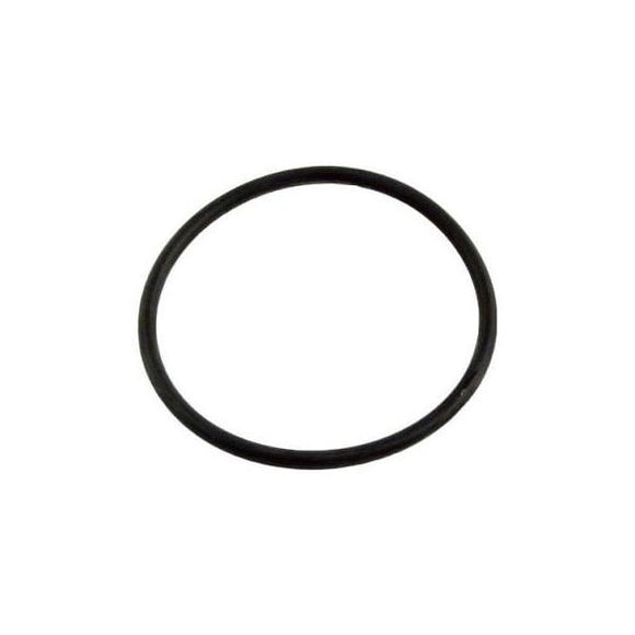 Pentair TA 100 Tagelus Filter O-Ring Compatible Replacement