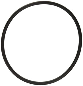 Hayward SP3007X10AZ Energy Efficient Max Rated Single Speed Strainer Cover O-Ring Compatible Replacement